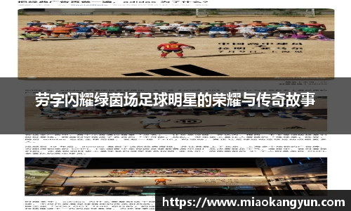 劳字闪耀绿茵场足球明星的荣耀与传奇故事